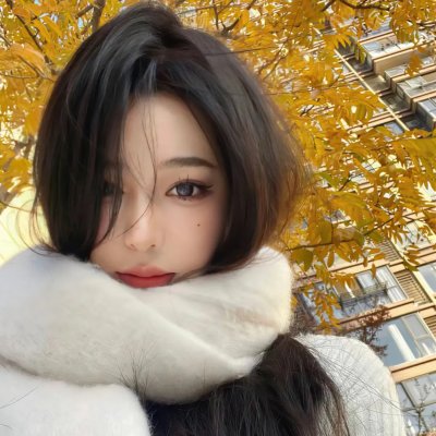秩序的守护者